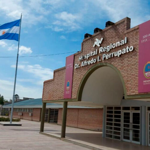 14. Hospital Regional Alfredo Perrupato
